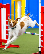 2025-10-12-BANDA-SUN-1285