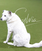 2025-10-12-BANDA-SUN-1286