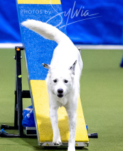 2025-10-12-BANDA-SUN-1289