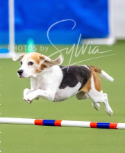 2025-10-12-BANDA-SUN-129