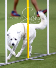 2025-10-12-BANDA-SUN-1294