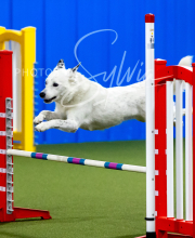 2025-10-12-BANDA-SUN-1298