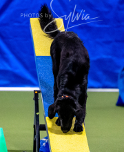 2025-10-12-BANDA-SUN-1302