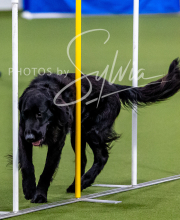 2025-10-12-BANDA-SUN-1305