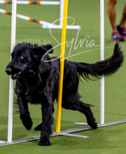 2025-10-12-BANDA-SUN-1308