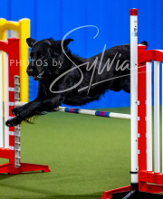 2025-10-12-BANDA-SUN-1310