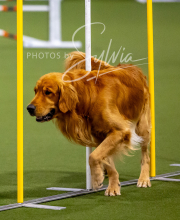 2025-10-12-BANDA-SUN-1319