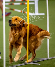 2025-10-12-BANDA-SUN-1321