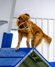 2025-10-12-BANDA-SUN-1322