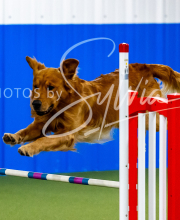 2025-10-12-BANDA-SUN-1324