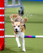 2025-10-12-BANDA-SUN-1326