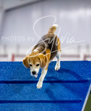 2025-10-12-BANDA-SUN-1328