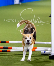 2025-10-12-BANDA-SUN-1330