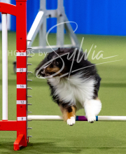 2025-10-12-BANDA-SUN-1334