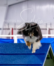 2025-10-12-BANDA-SUN-1340