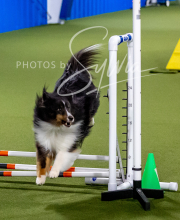 2025-10-12-BANDA-SUN-1341