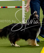 2025-10-12-BANDA-SUN-1347