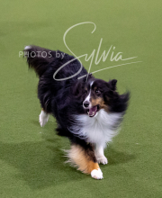 2025-10-12-BANDA-SUN-1352