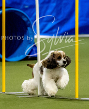 2025-10-12-BANDA-SUN-1354