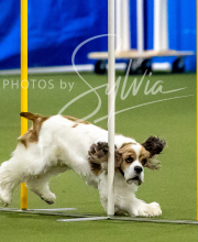 2025-10-12-BANDA-SUN-1355