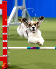 2025-10-12-BANDA-SUN-1357