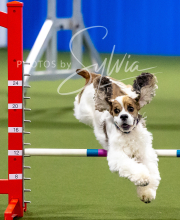 2025-10-12-BANDA-SUN-1358