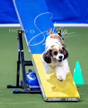 2025-10-12-BANDA-SUN-1360