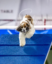 2025-10-12-BANDA-SUN-1363