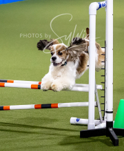 2025-10-12-BANDA-SUN-1365