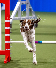 2025-10-12-BANDA-SUN-1368