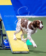 2025-10-12-BANDA-SUN-1371