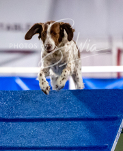 2025-10-12-BANDA-SUN-1373