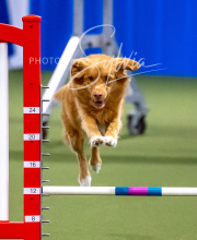 2025-10-12-BANDA-SUN-1380