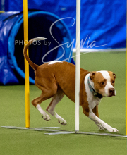 2025-10-12-BANDA-SUN-1385