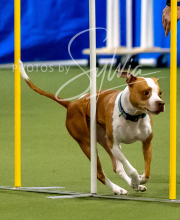 2025-10-12-BANDA-SUN-1389