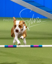 2025-10-12-BANDA-SUN-1395