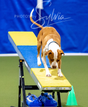 2025-10-12-BANDA-SUN-1398