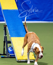 2025-10-12-BANDA-SUN-1399