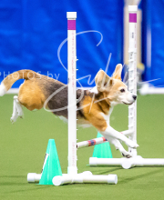 2025-10-12-BANDA-SUN-14