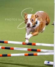 2025-10-12-BANDA-SUN-1403