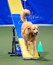 2025-10-12-BANDA-SUN-1408