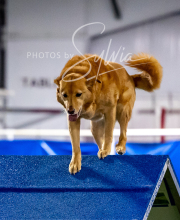 2025-10-12-BANDA-SUN-1412