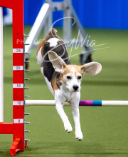 2025-10-12-BANDA-SUN-1414