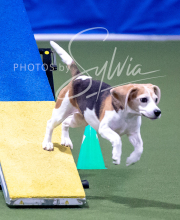 2025-10-12-BANDA-SUN-1417