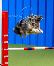 2025-10-12-BANDA-SUN-142