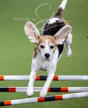 2025-10-12-BANDA-SUN-1422