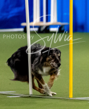 2025-10-12-BANDA-SUN-1425