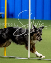 2025-10-12-BANDA-SUN-1427