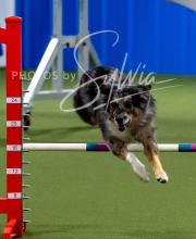 2025-10-12-BANDA-SUN-1432