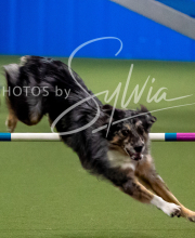 2025-10-12-BANDA-SUN-1436